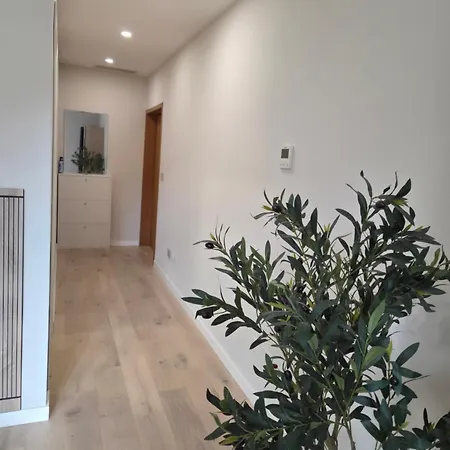 Verona Suite Apartment Verona